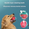 Dog Interactive Toys Bite Resistant TPR Rubber Chew Sucker Pet Molar Squeaky Ball Puppy Toothbrush