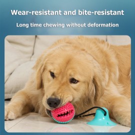 Dog Interactive Toys Bite Resistant TPR Rubber Chew Sucker Pet Molar Squeaky Ball Puppy Toothbrush