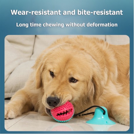 Dog Interactive Toys Bite Resistant TPR Rubber Chew Sucker Pet Molar Squeaky Ball Puppy Toothbrush