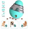 Pet Dog Food Leak Tumbler Interactive Toy