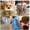 Puppy Teething Toys Dog Chew Toys Pet Bite Resistant TRP Bones Teeth Cleaning Chewing Toy