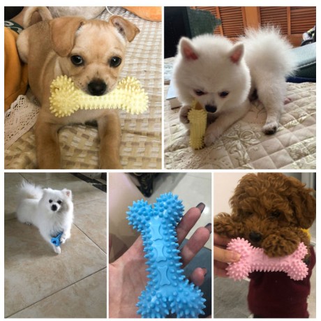 Puppy Teething Toys Dog Chew Toys Pet Bite Resistant TRP Bones Teeth Cleaning Chewing Toy