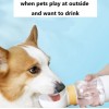 Petime Pet Water Bottle with Food Cup Dog Outdoor Portable Drinking Bottle for Dog Cat Outdoor Play