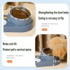 Cat Bowl with Stand Stainless Steel 2 in 1 Pet Bowl Water and Food Bowl Set with Automatic Waterer Bottle for Small or Medium Size Dogs Cats